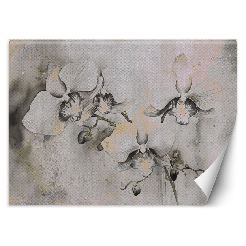 Fototapeta Feeby Kwitnące orchidee abstrakcja  250x175 1 szt