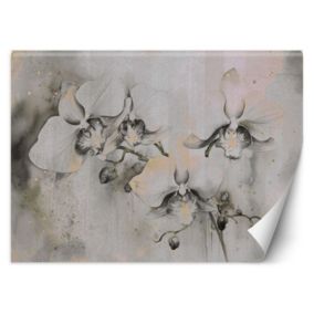 Fototapeta Feeby Kwitnące orchidee abstrakcja  250x175 1 szt