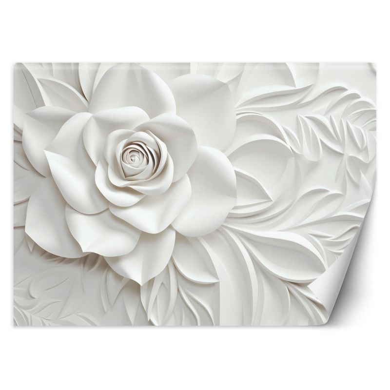 Fototapeta Feeby Kwitnący kwiat róży 3D  450x315 1 szt