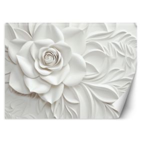 Fototapeta Feeby Kwitnący kwiat róży 3D  450x315 1 szt
