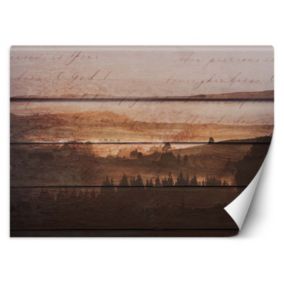 Fototapeta Feeby Las deski vintage  100x70 1 szt