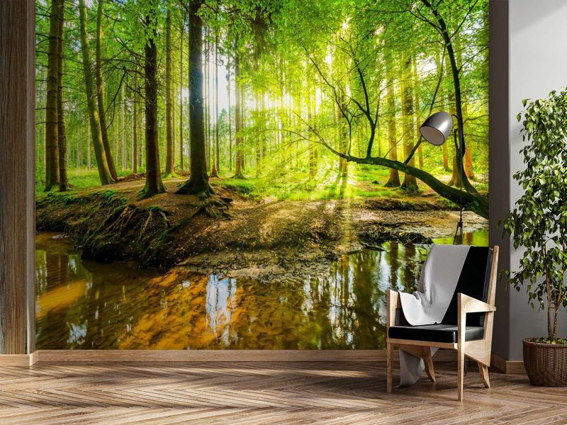Fototapeta Feeby Las potok strumień promienie słońca natura  150x105 1 szt