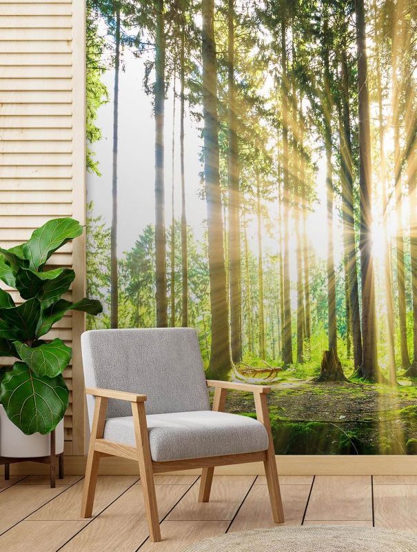 Fototapeta Feeby Las promienie słońca  150x210 1 szt