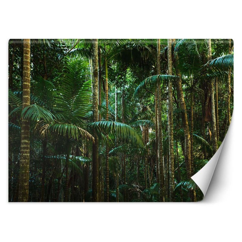 Fototapeta Feeby Las tropikalny natura  400x280 1 szt