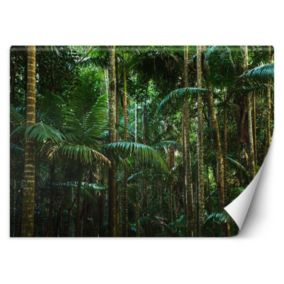Fototapeta Feeby Las tropikalny natura  400x280 1 szt