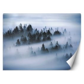 Fototapeta Feeby Las we mgle  368x254 1 szt