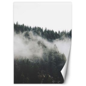 Fototapeta Feeby Las we mgle w górach  100x140 1 szt