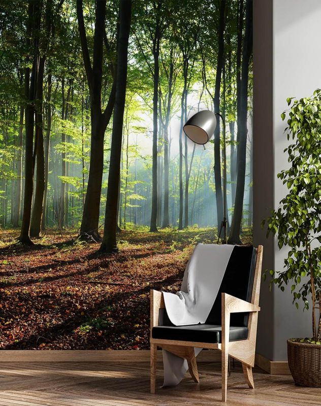 Fototapeta Feeby Las zielony wschód słońca natura  200x280 1 szt