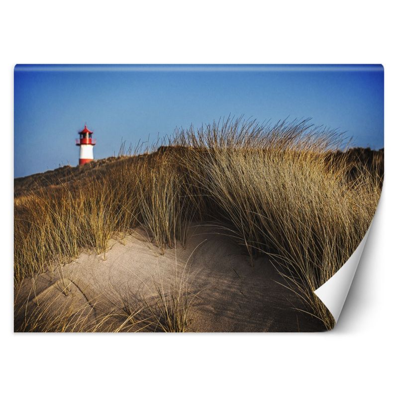 Fototapeta Feeby Latarnia morska wydmy trawy morze  250x175 1 szt