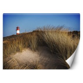 Fototapeta Feeby Latarnia morska wydmy trawy morze  250x175 1 szt