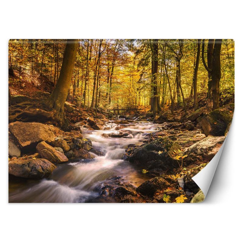 Fototapeta Feeby Leśny potok jesienią  200x140 1 szt