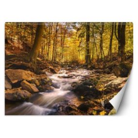 Fototapeta Feeby Leśny potok jesienią  200x140 1 szt
