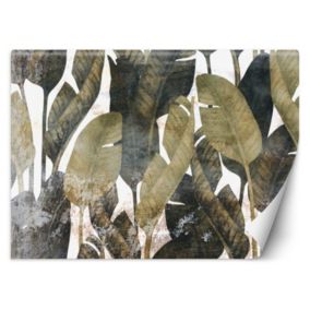 Fototapeta Feeby Liście bananowca  400x280 1 szt