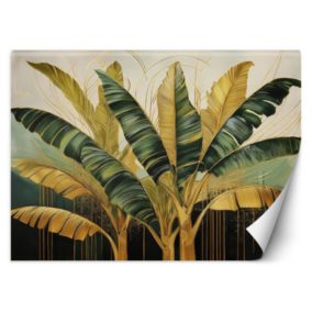 Fototapeta Feeby Liście Bananowca Botanika  300x210 1 szt
