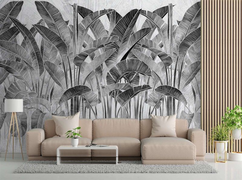 Fototapeta Feeby Liście bananowca czarno białe  100x70 1 szt
