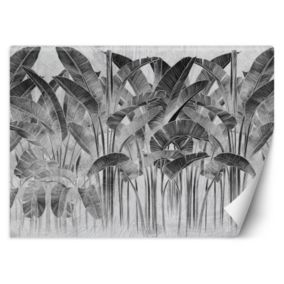 Fototapeta Feeby Liście bananowca czarno białe  450x315 1 szt