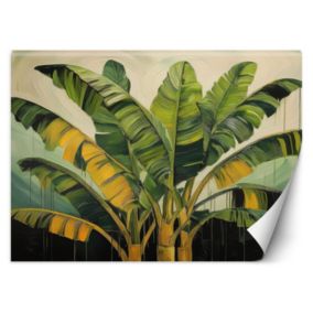 Fototapeta Feeby Liście Bananowca Natura  400x280 1 szt