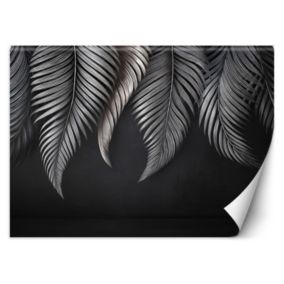 Fototapeta Feeby Liście bananowca szare  250x175 1 szt