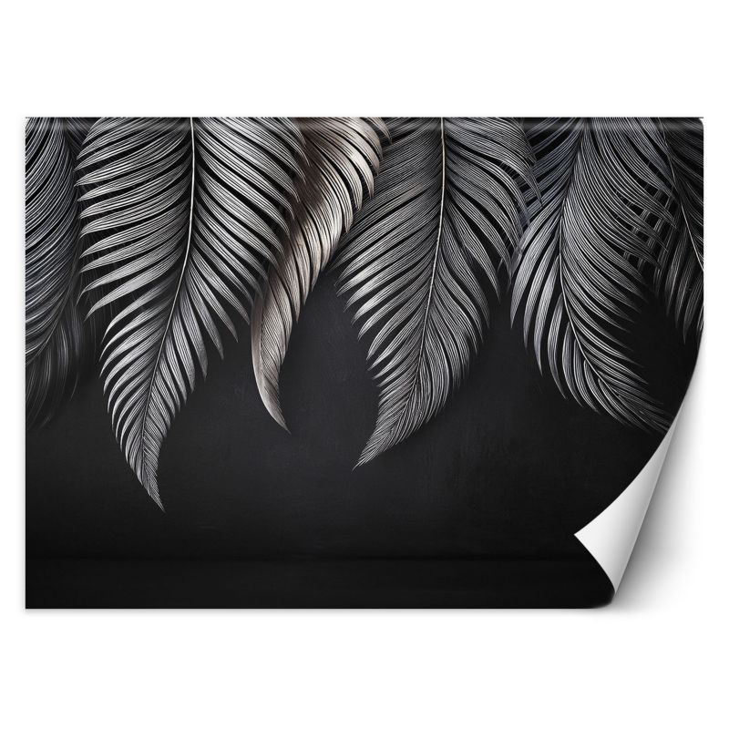 Fototapeta Feeby Liście bananowca szare  350x245 1 szt