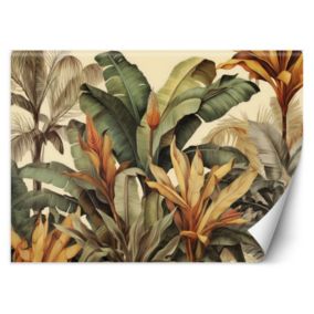 Fototapeta Feeby Liście bananowca w sepii  200x140 1 szt