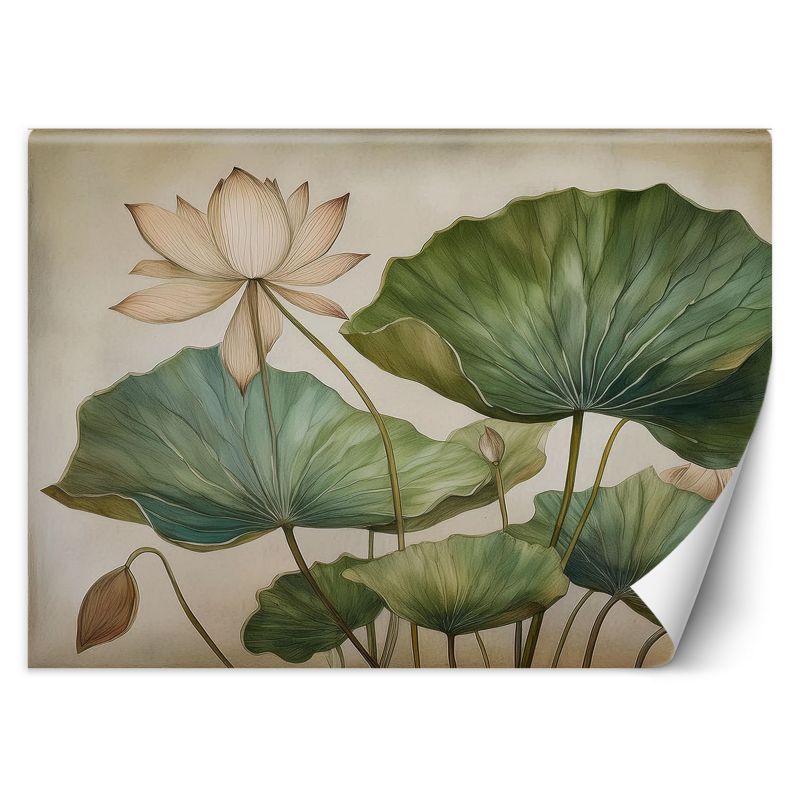 Fototapeta Feeby Liście Lilie Rośliny  350x245 1 szt
