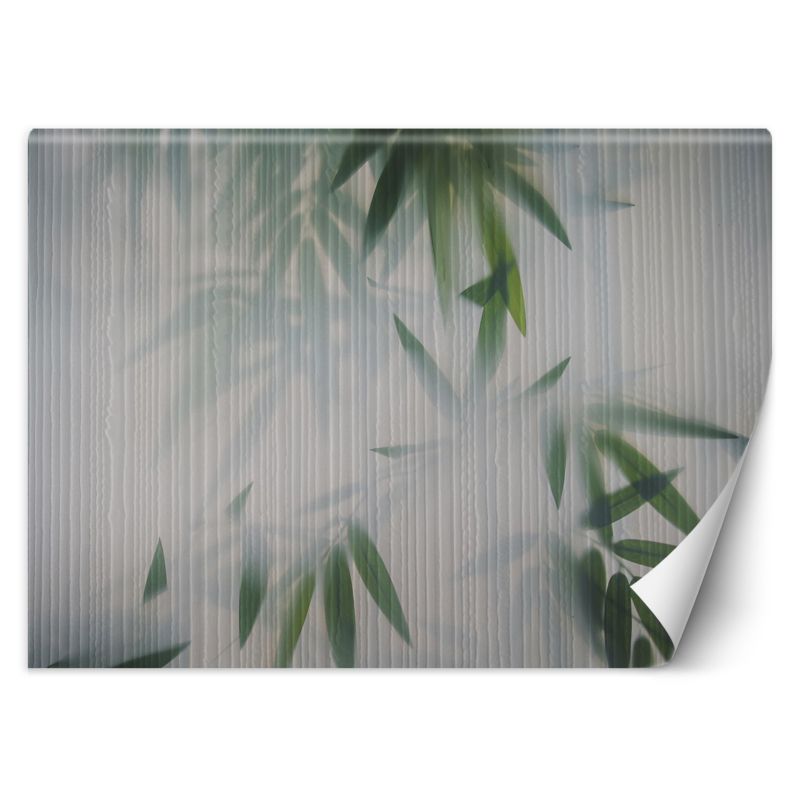 Fototapeta Feeby Liście mgła natura  150x105 1 szt