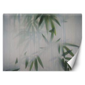 Fototapeta Feeby Liście mgła natura  150x105 1 szt