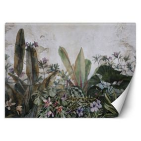 Fototapeta Feeby Liście monstera betonowa sciana  150x105 1 szt