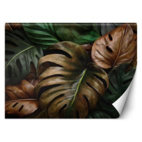 Fototapeta Feeby Liście Monstery W Naturalnych Kolorach  300x210 1 szt