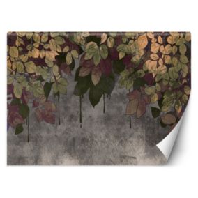 Fototapeta Feeby Liście na betonie  150x105 1 szt