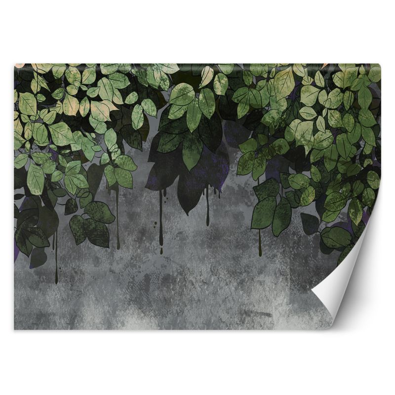 Fototapeta Feeby Liście na tle z betonu  150x105 1 szt