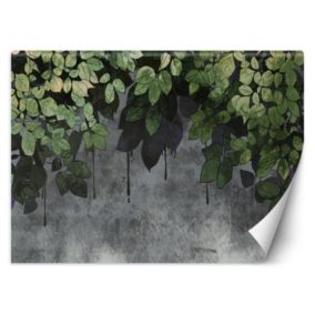 Fototapeta Feeby Liście na tle z betonu  150x105 1 szt