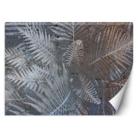 Fototapeta Feeby Liście palmy na betonie  150x105 1 szt