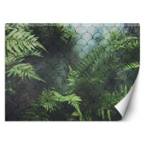 Fototapeta Feeby Liście paproci we mgle  400x280 1 szt