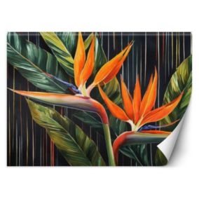 Fototapeta Feeby Liście Rośliny Botanika  150x105 1 szt