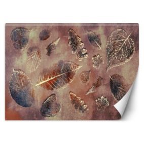 Fototapeta Feeby Liście w stylu retro  100x70 1 szt
