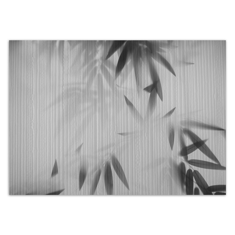 Fototapeta Feeby Liście we mgle abstrakcja  150x105 1 szt