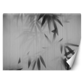 Fototapeta Feeby Liście we mgle abstrakcja  350x245 1 szt