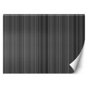 Fototapeta Feeby Linie pasy abstrakcja  100x70 1 szt