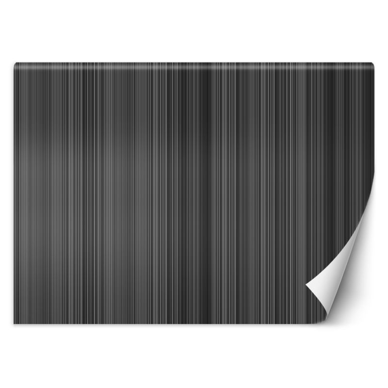 Fototapeta Feeby Linie pasy abstrakcja  350x245 1 szt