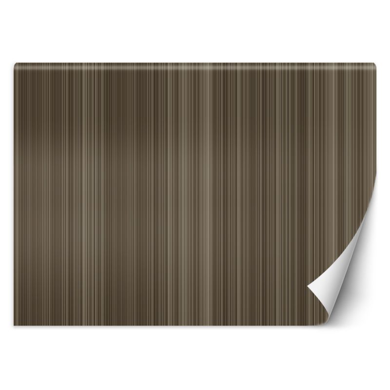 Fototapeta Feeby Linie pionowe abstrakcja  350x245 1 szt