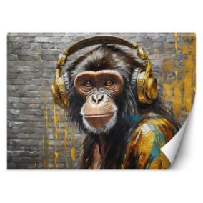 Fototapeta Feeby Małpa w słuchawkach Muzyka  350x245 1 szt
