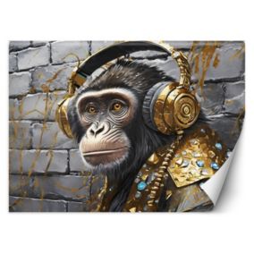 Fototapeta Feeby Małpie słuchawki Pop Art  250x175 1 szt