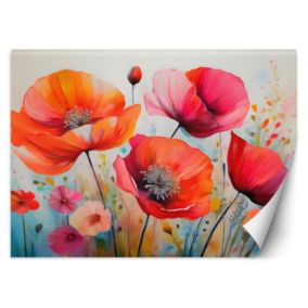 Fototapeta Feeby Maki Kwiaty Kolorowy  450x315 1 szt