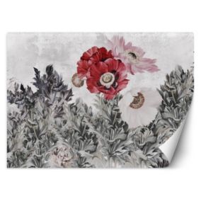 Fototapeta Feeby Malowane czerwone maki  254x184 1 szt