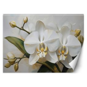 Fototapeta Feeby Malowany kwiat orchidei  300x210 1 szt