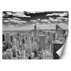 Fototapeta Feeby Manhattan panorama miasta  368x254 1 szt