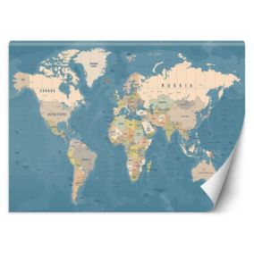 Fototapeta Feeby Mapa polityczna świata  150x105 1 szt