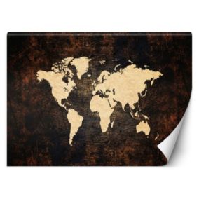Fototapeta Feeby Mapa świata brązowa  200x140 1 szt