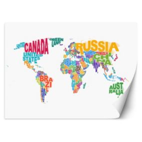 Fototapeta Feeby Mapa świata kolorowe napisy  350x245 1 szt